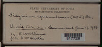 Image Associated With the Occurence